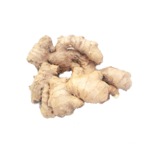 Wholesale New Crop Ginger with Export Fresh Ginger